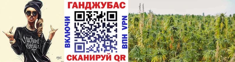 что такое наркотик  OMG как зайти  МАРИХУАНА сатива  Киреевск 